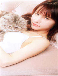 蓝猫龙骑团之生命之花全集-先生你哪位